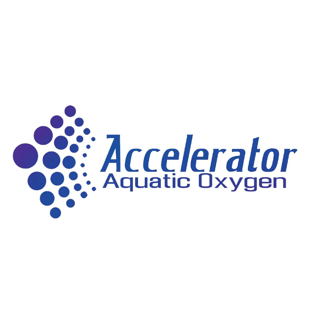 Accelerator