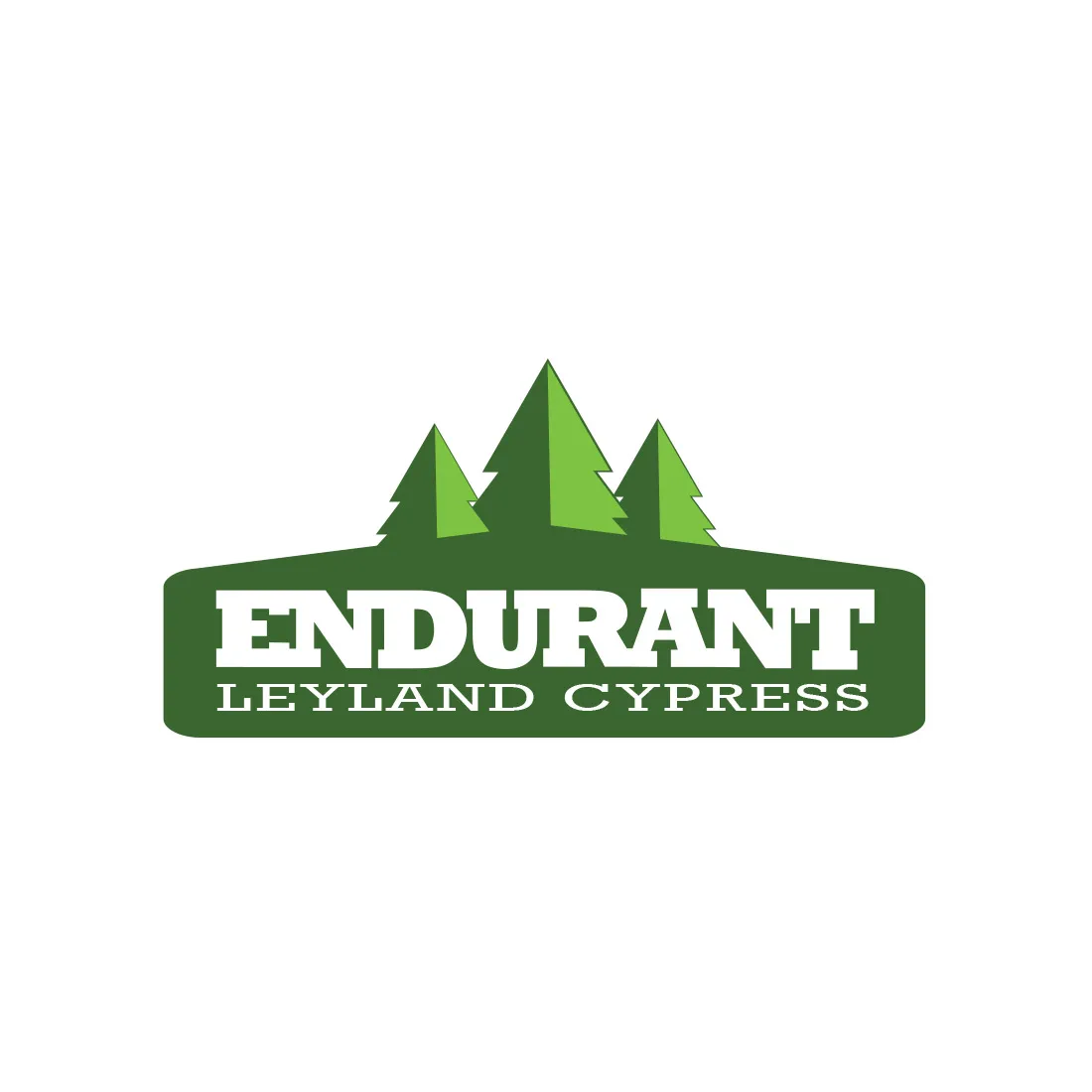 Endurant Leyland Cypress
