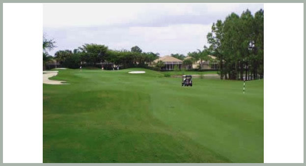 Cypress Woods Golf Course addresses water managment, soil oxygen, plant nutrition challenges with Geoponics products, limiting chemical usage and saving money and water.