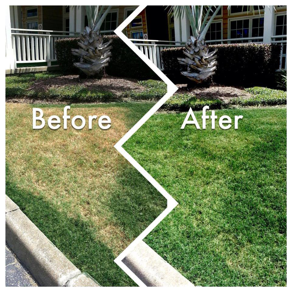 Endurant offers a quick fix that is environmentally friendly. No more brown grass. Get a green lawn now. www.Turfpaint.net