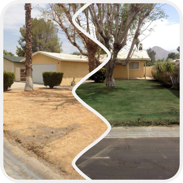 Foreclosures, drought? Turn brown grass green with turf paint