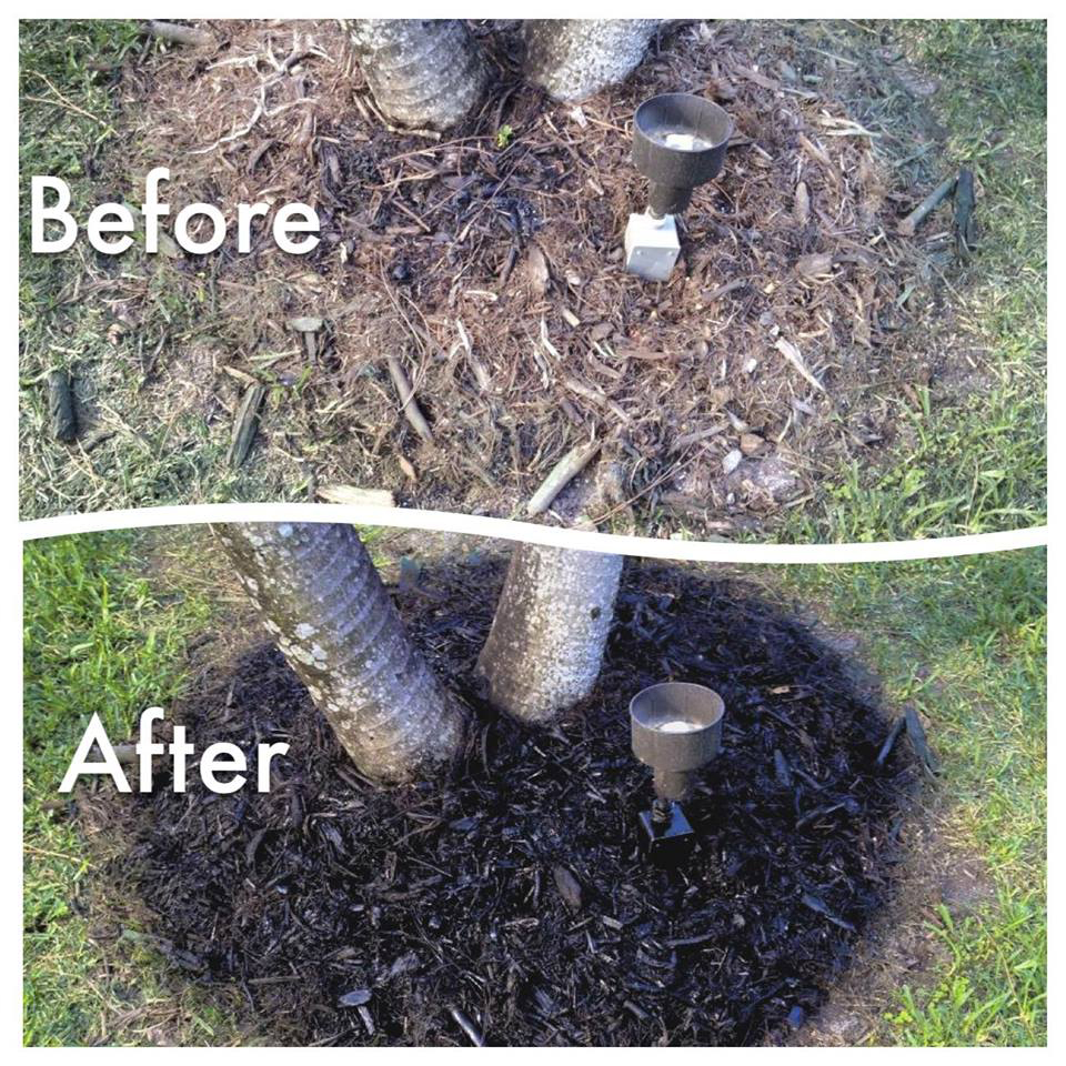Before and After of Endurant turf paint on mulch