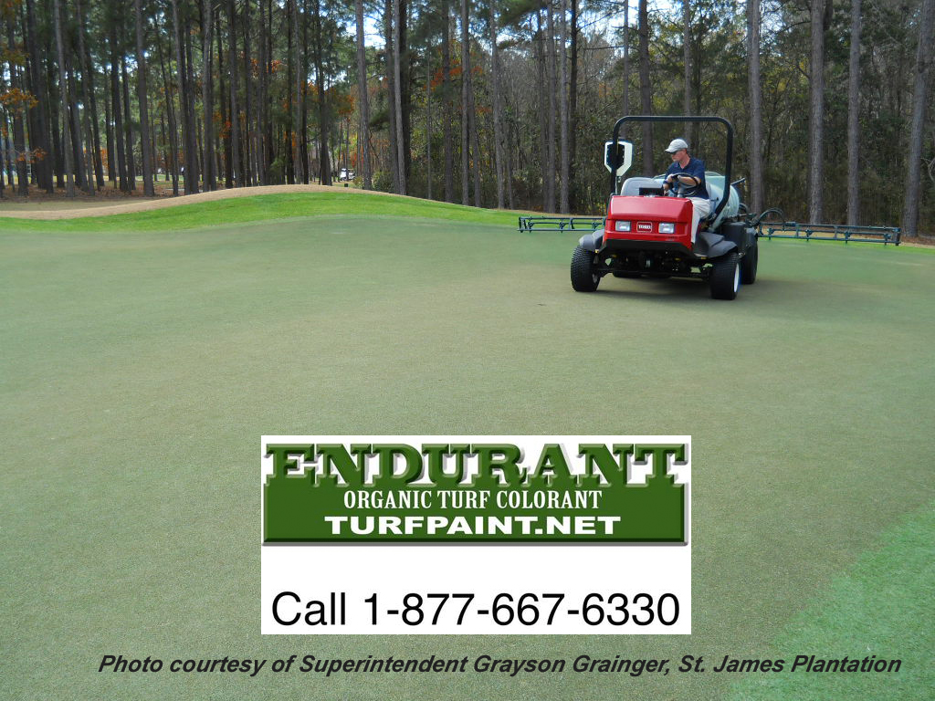 Endurant turf paint beats the competitors' brands of turf paint and saves huge compared to overseed