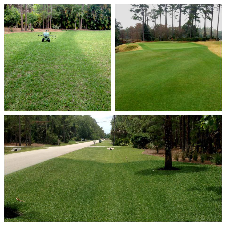 Endurant applications create instant "wows!" at prices that beat the competition while being environmentally-friendly. So easy to apply. www.turfpaint.net
