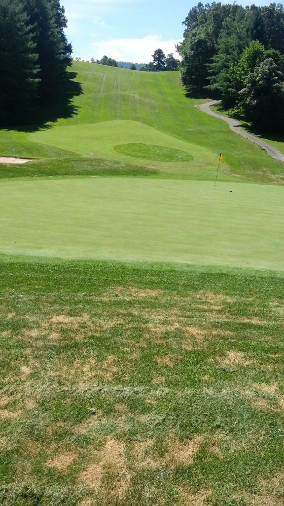 Agriox (Agriox.com) helps Reems Creek Golf Course thrive through water shortages. 