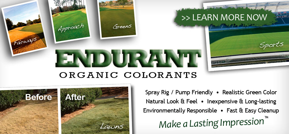 Turf Paint liquid overseed