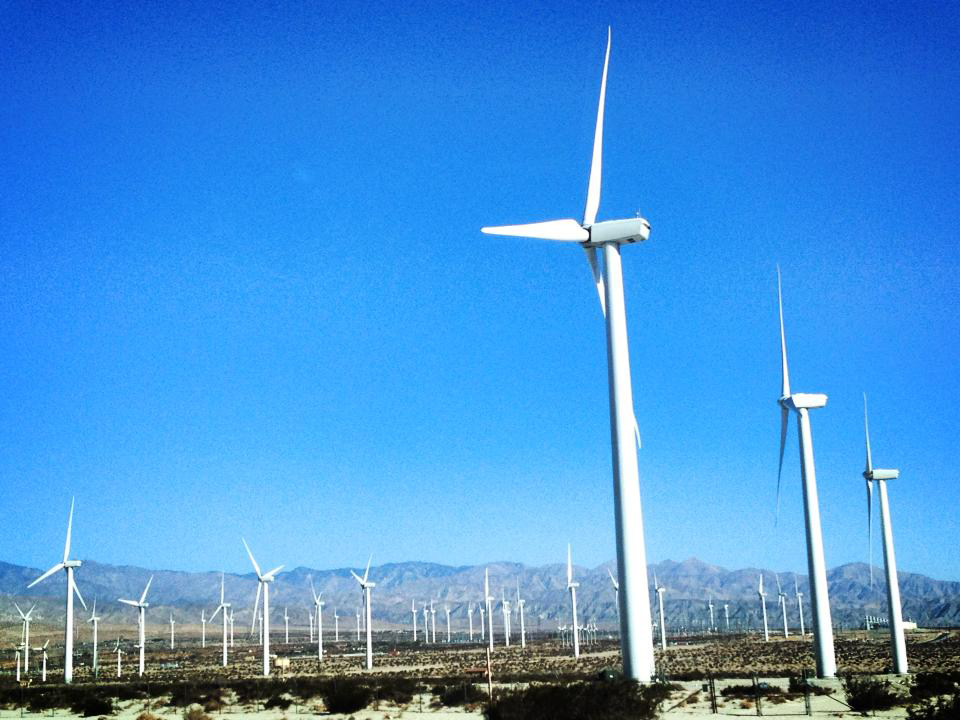Wind Farm, Palm Springs