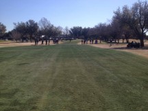 Turf Painting Field Day in Dallas, Texas with Endurant Turf Colorant. 
