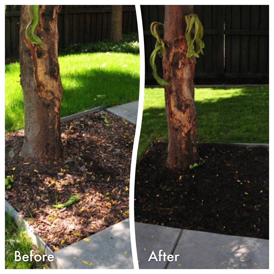 Customers Share Mulch Colorant Reviews - Endurant Turf Paint