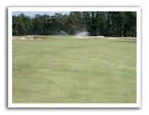 Endurant turf colorant gets Pinehurst through tough winter & into limelight of U.S. Open