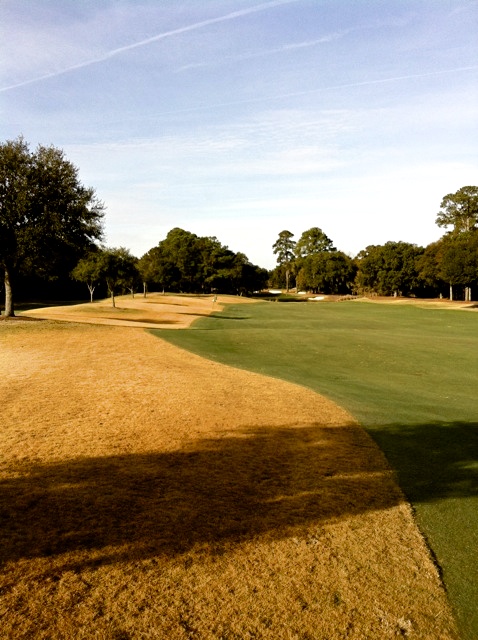 Painting warm season grasses with organic Endurant turf colorant provides a solution to the dead-looking brown grass that is a natural dormancy stage of warm season grasses during the winter months. 