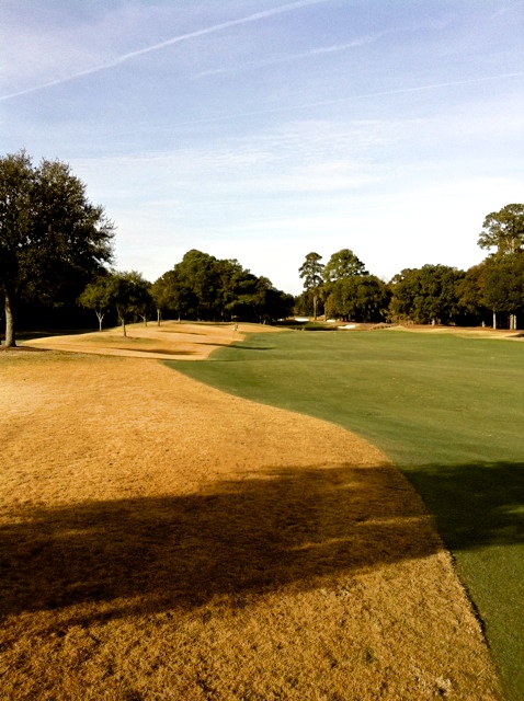 Painting warm season grasses with organic Endurant turf colorant provides a solution to the dead-looking brown grass that is a natural dormancy stage of warm season grasses during the winter months.