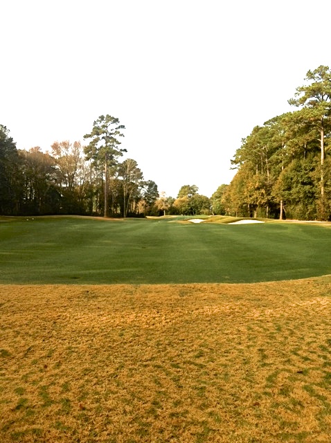 Endurant Turf Colorant: The USGA recommends turf colorant versus overseed. West Coast Turf now supplies Endurant in California