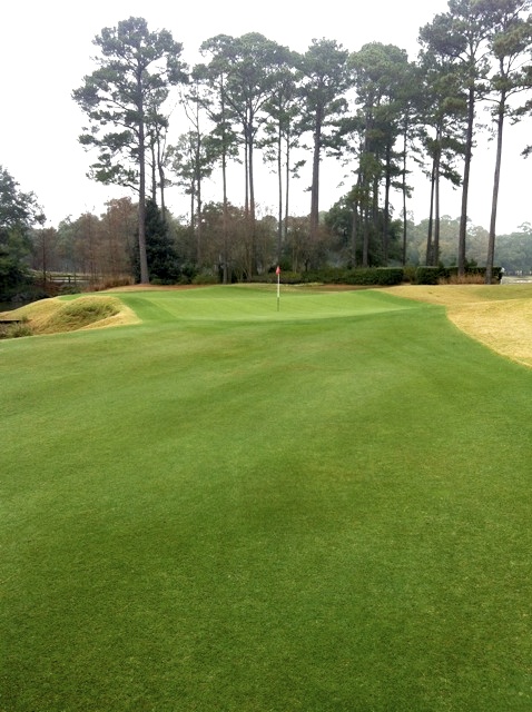 Endurant Turf Colorant is an amazing solution to drought and water restrictions as well as an alternative to overseed. Endurant is now available for warm season grasses from West Coast Turf in California.