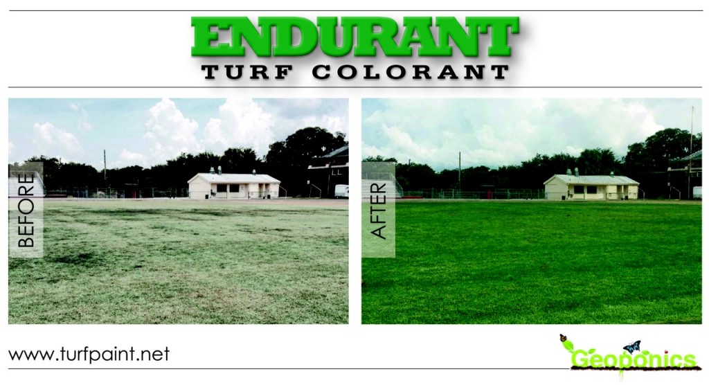 Endurant Turf Colorant before after photo home residential use West Coast Turf