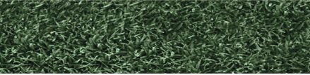 Endurant FW, the turf colorant for deep green, eye-catching fairways