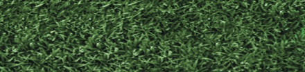 Endurant TC: The Original Turf Colorant from Geoponics that was the first in the line. Endurant Turf Colorants offer variety