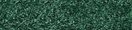 Endurant TE: A turf enhancer for actively growing grass