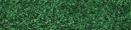 Endurant Perennial Rye turf colorant for the look of Augusta. A colorant that looks like Augusta because Endurant Turf Colorants offer variety to turf pros