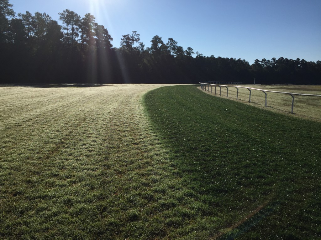 Endurant turf paint offering the best organic turf colorants and beating out overseed on golf courses and now this famous horse racing course