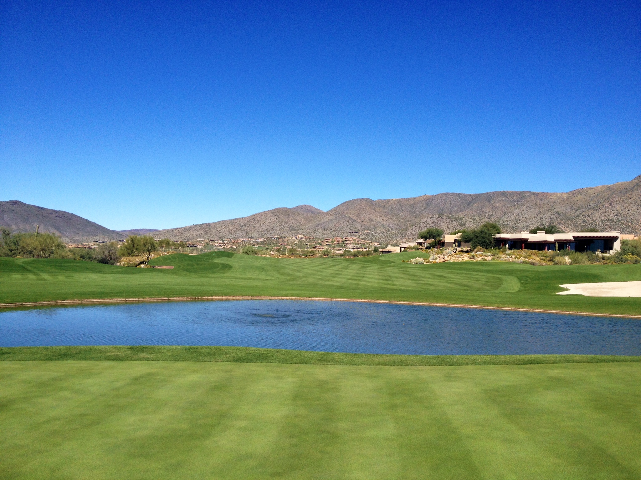 Champions Tour at Desert Mountain uses Endurant organic turf colorant