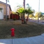 California drought leads to brown lawns until business launches with eco friendly, water saving solution