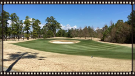 March provides boost in sod sales as nation's top sod growers get faster greenup with Endurant.