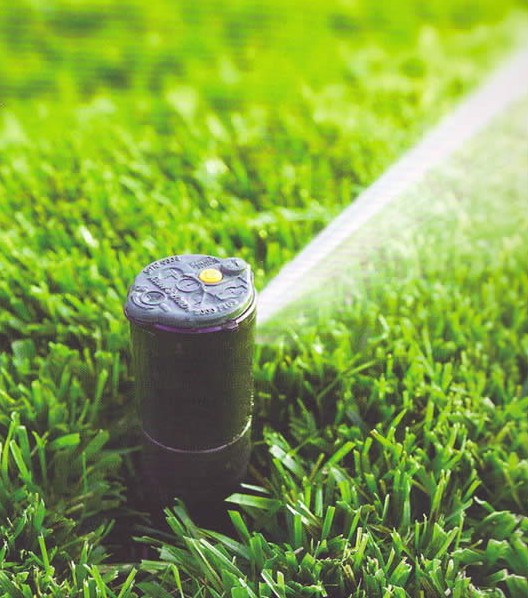 Proper watering and irrigation for a healthy lawn