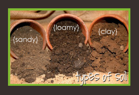 Soil type helps determine proper watering guidelines
