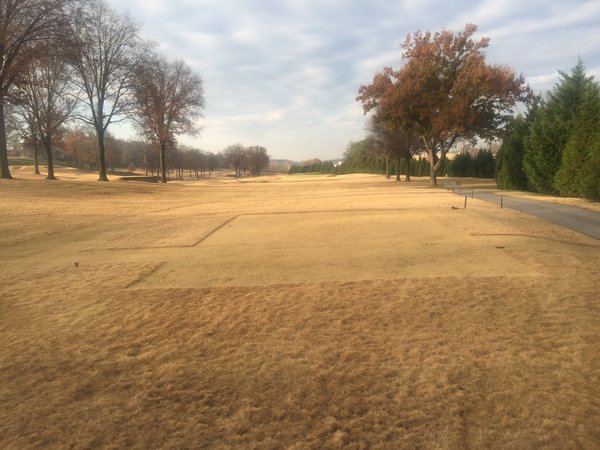 Before and after pics: Endurant provides golf courses with the look of overseed more quickly, at lower cost and without the harmful environmental effects of over-watering and over-fertilizing. 