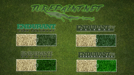 Endurant colors