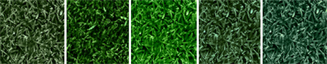 How to paint turf: Select a shade of Endurant turf colorant