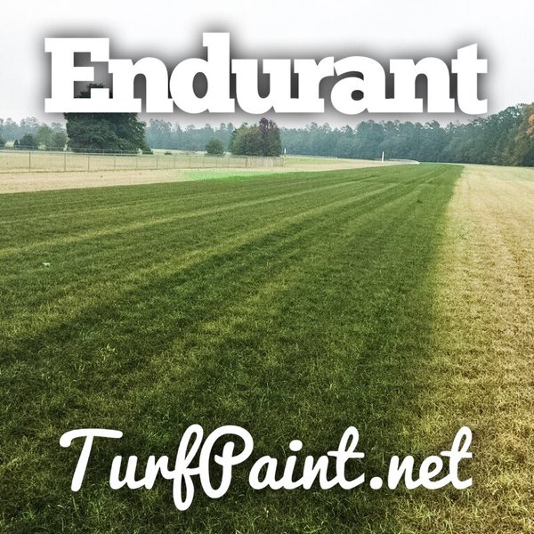 Turf professionals choose Endurant