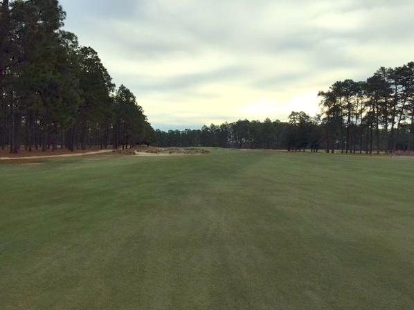 Pinehurst Demo showcasing Endurant TC 