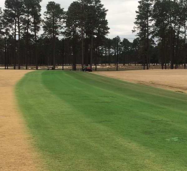 Demo at Pinehurst shows off Endurant TC on the golf course