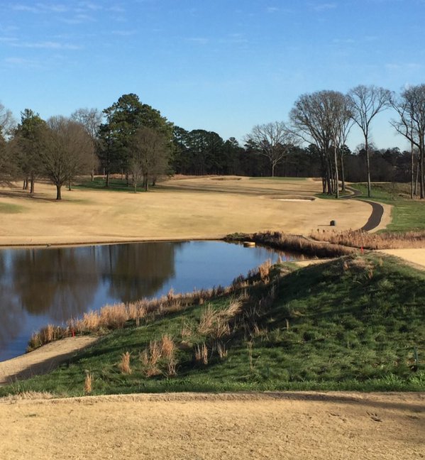 Greenkeeper Endurant untreated before photo