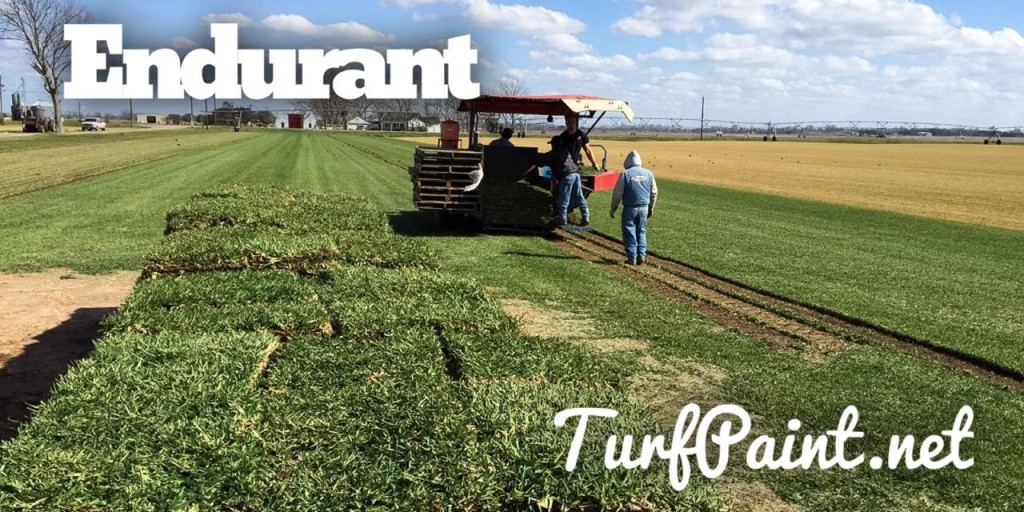 Having a field day: Winfield hosts Geoponics to share the uses of Endurant turf colorants on landscapes, sod farms, ballfields and other applications. 