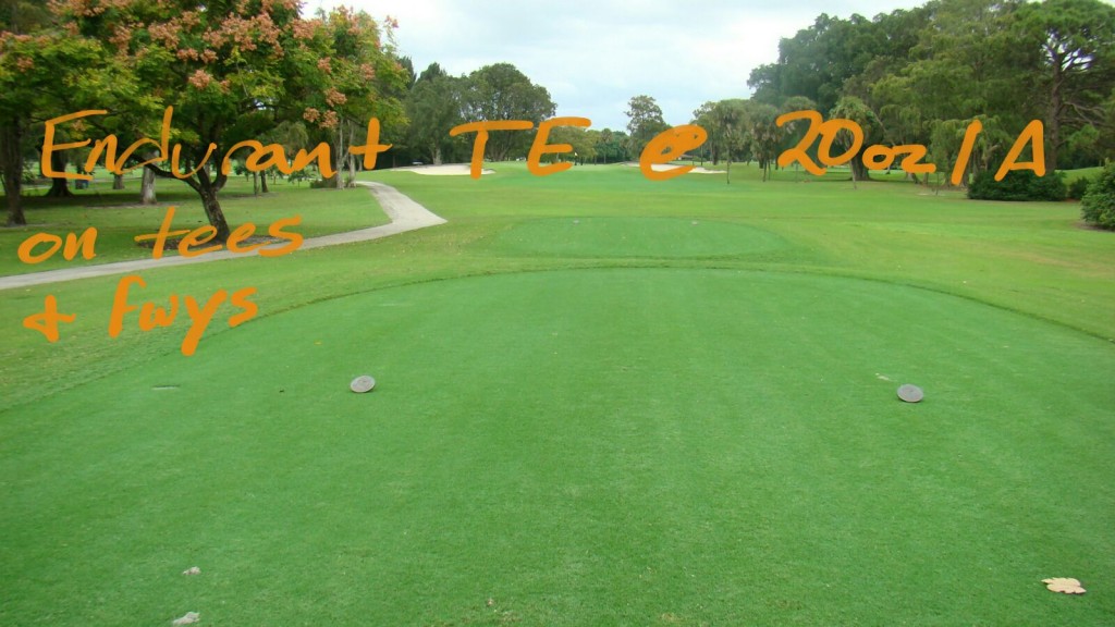 Endurant TE turf enhancer colorant