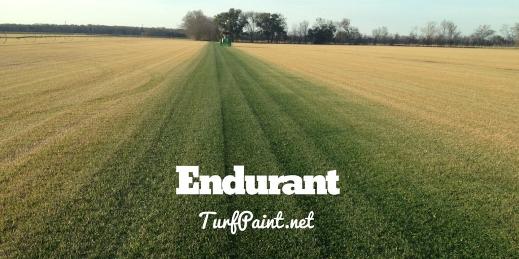 Turf Paint Field Day with Endurant
