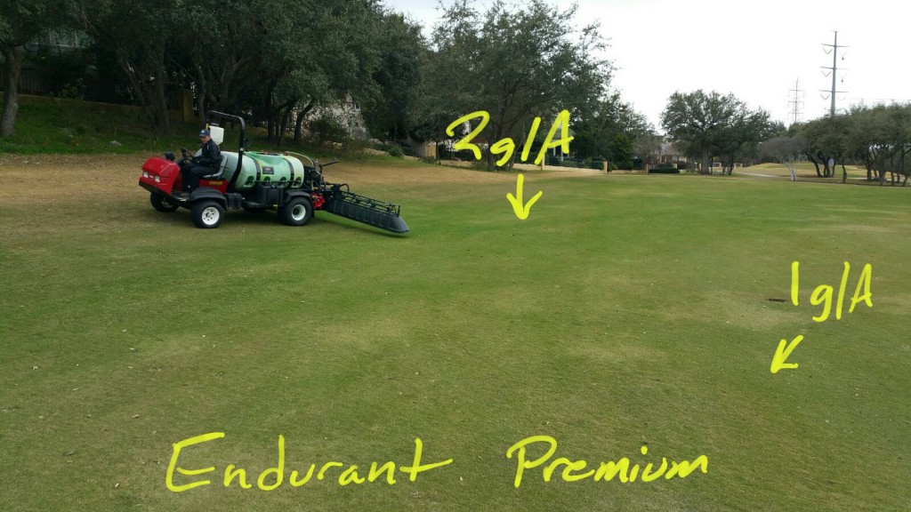 Endurant Premium application rates