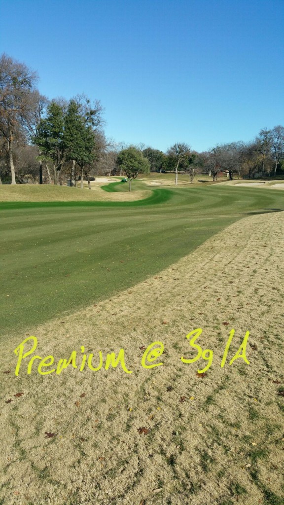 Endurant Premium application rates