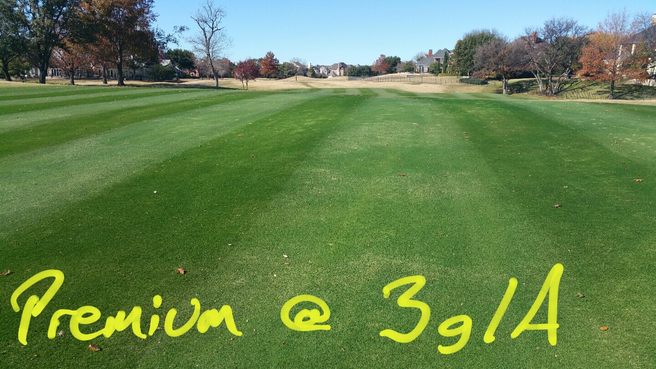 Endurant Premium application rates for best turf Corporation