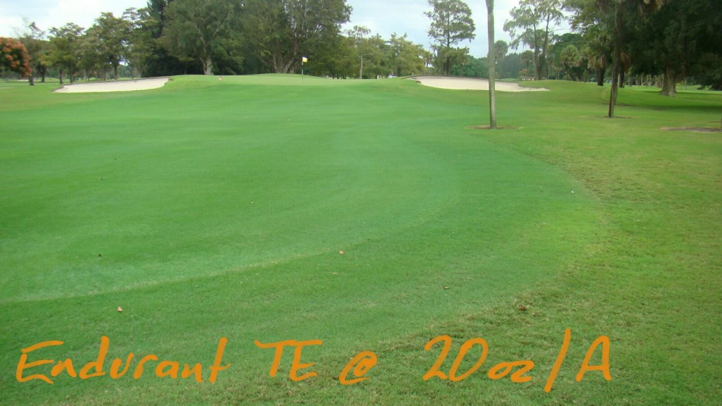 Endurant TE turf enhancer colorant