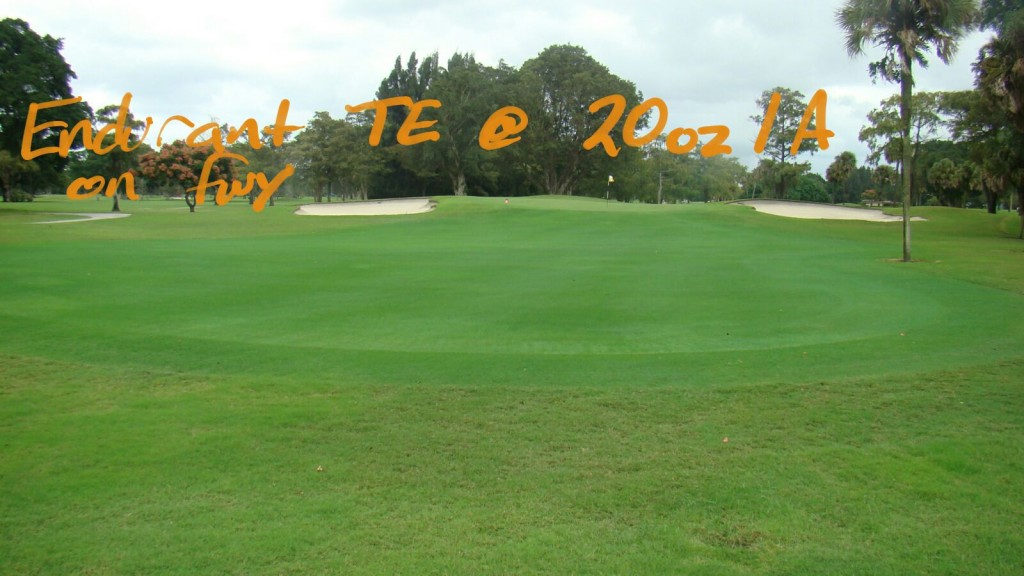 Endurant TE turf enhancer colorant