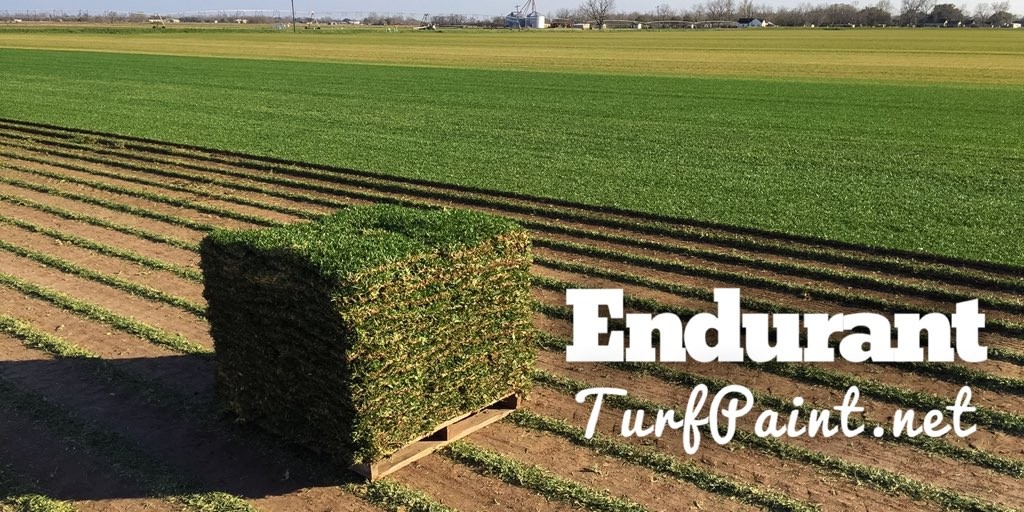 Turf Grass Field Day Sod Farm