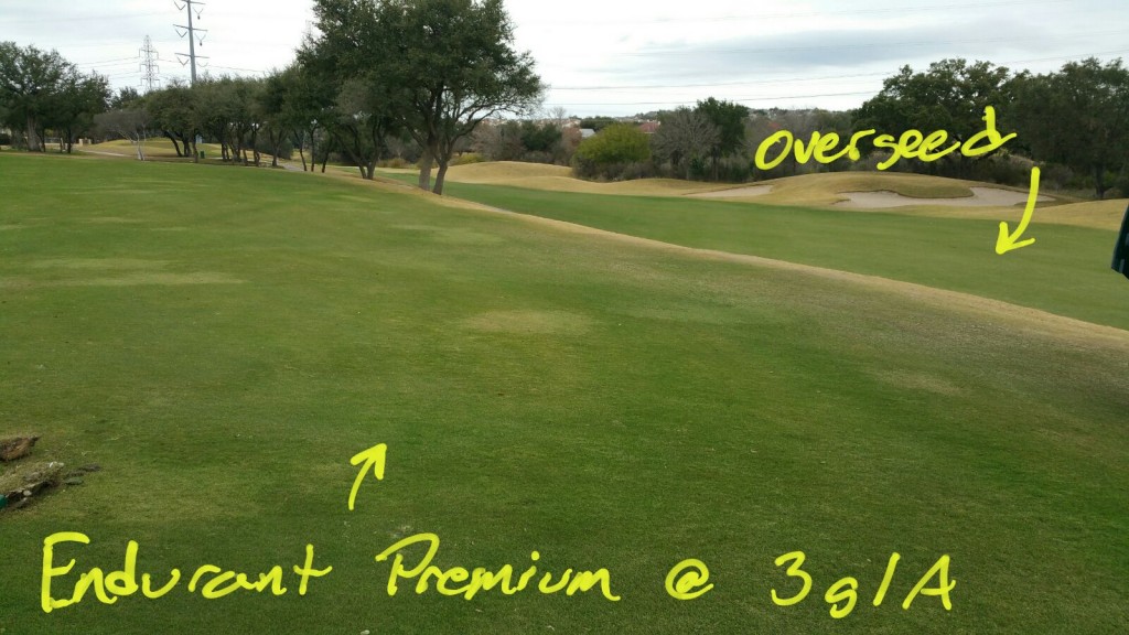 Endurant Premium application rates