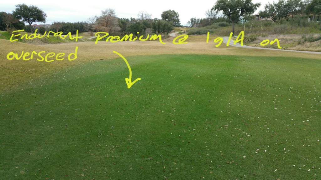 Endurant Premium application rates