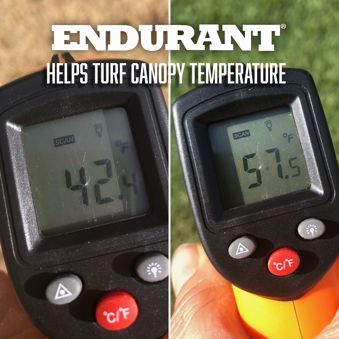 Infrared thermometer readings of 42.4 degrees Fahrenheit on untreated dormant Bermudagrass and 57.5 degrees Fahrenheit on Endurant Fairway-treated Bermudagrass in Virginia